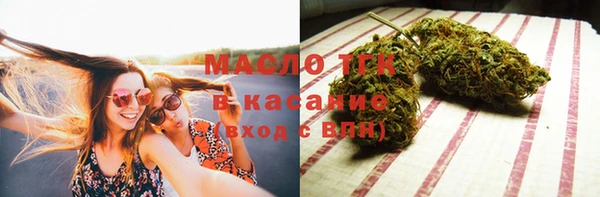 индика Михайловка
