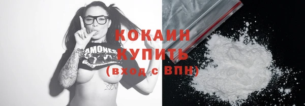 индика Михайловка