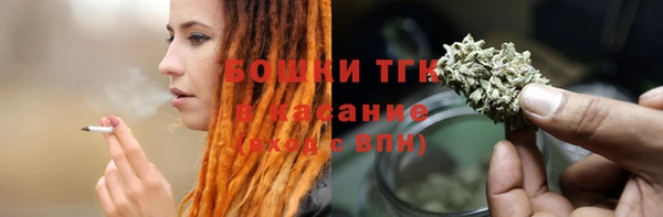 индика Михайловка