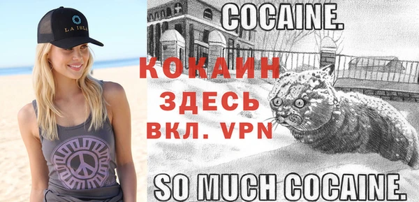 ALPHA PVP Михайловск