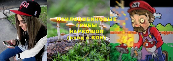 индика Михайловка