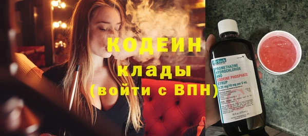 индика Михайловка