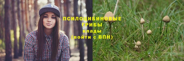 индика Михайловка