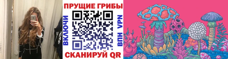 Псилоцибиновые грибы Psilocybe  Щёлкино 